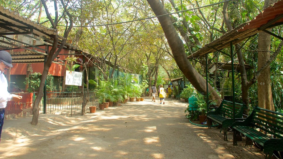 Pune toont een tuin
