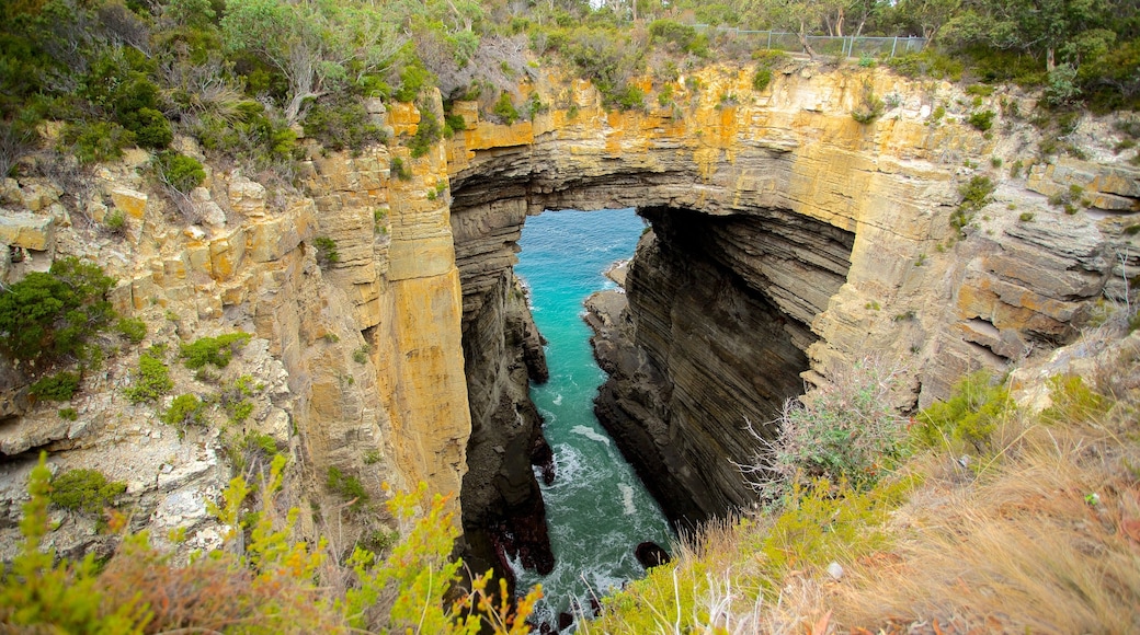 Tasmania sudorientale mostrando parco, vista del paesaggio e costa rocciosa