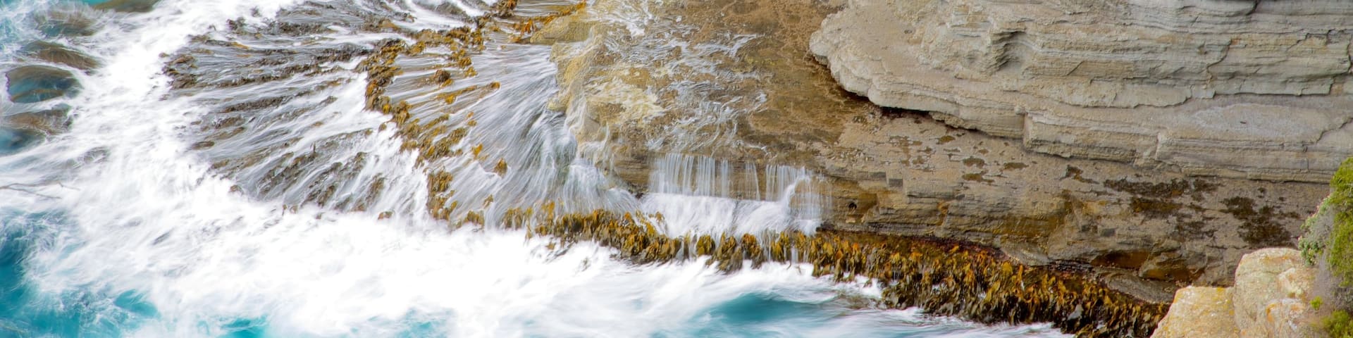 Southeast Tasmania featuring landscape views and rocky coastline