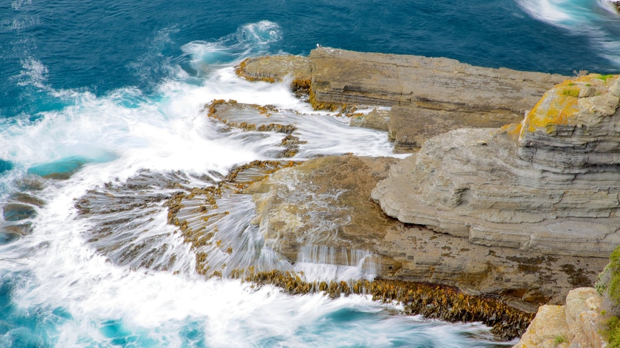 Southeast Tasmania featuring landscape views and rocky coastline