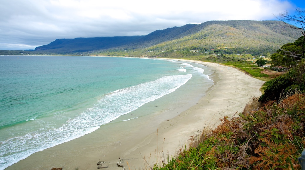 Tasmania featuring a sandy beach and landscape views