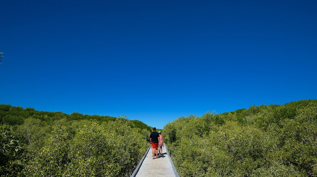 The Kimberley showing landscape views and hiking or walking