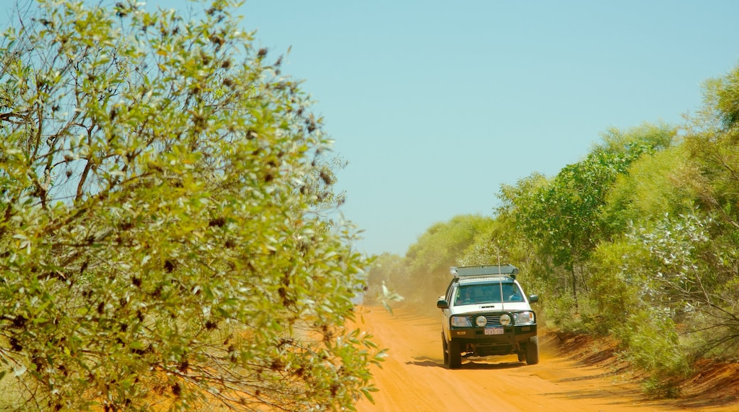 Broome toont landschappen, vredige uitzichten en een ritje met de auto