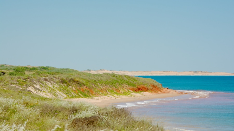 Broome som visar en strand och landskap