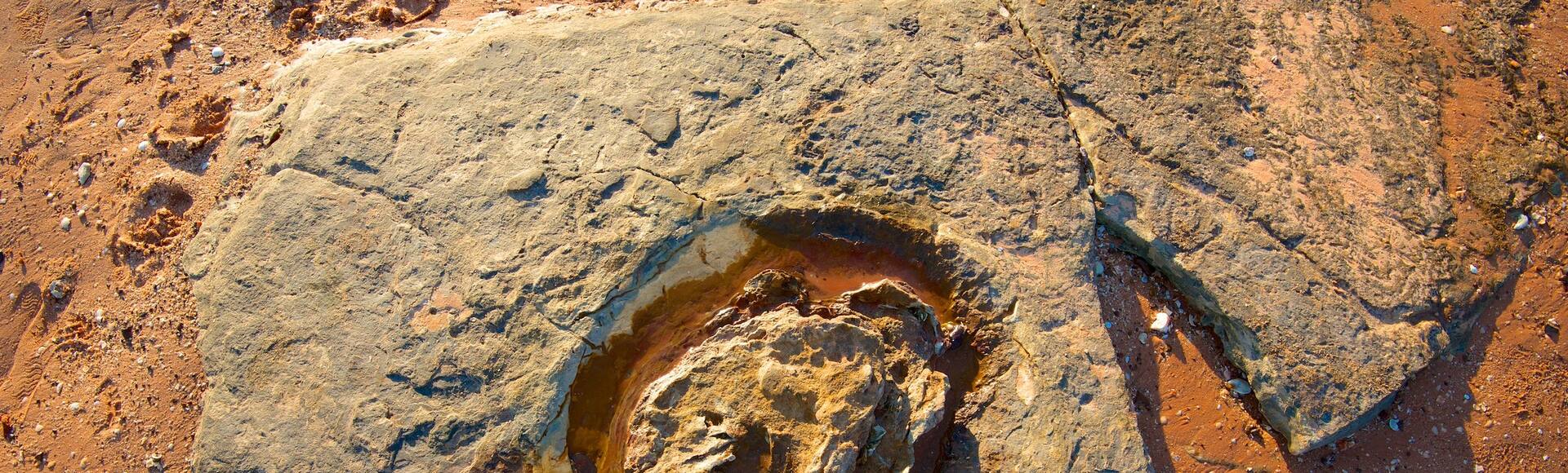 Site Pal ontologique Dinosaur Footprints AUS Locations De Vacances site-pal-ontologique-dinosaur-footprints-aus-locations-de-vacances