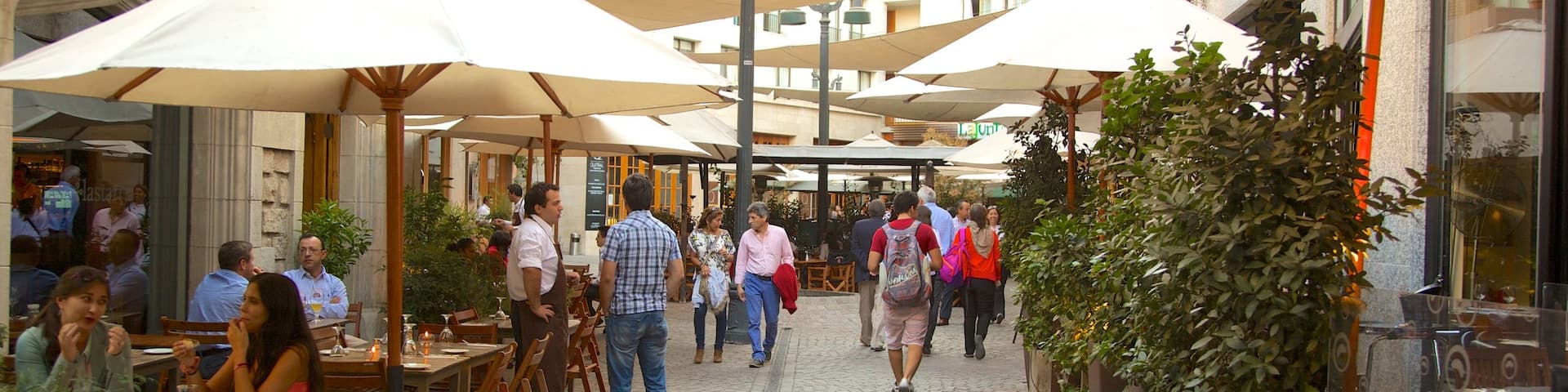 Lastarria which includes cafe lifestyle and street scenes as well as a large group of people