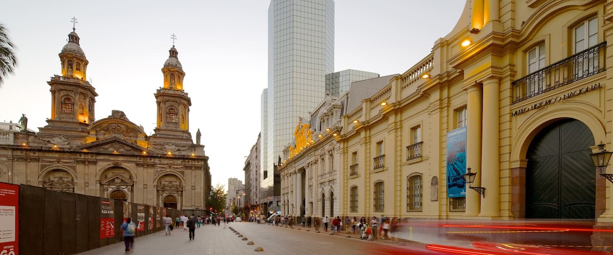 National History Museum showing street scenes and a city