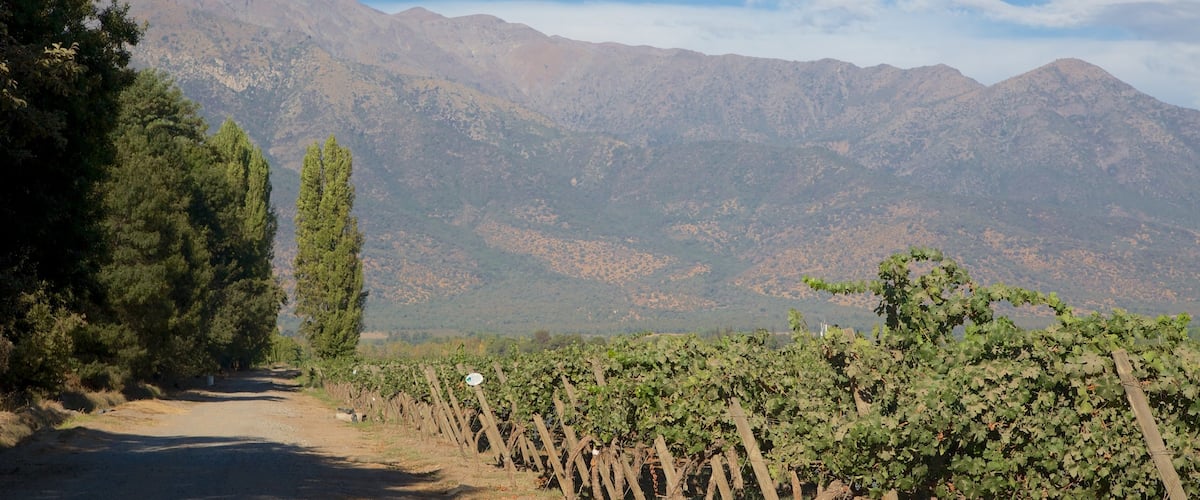 Pirque showing mountains and farmland