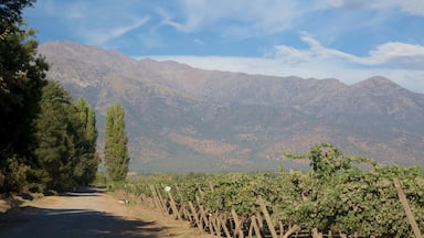 Pirque mostrando tierras de cultivo y montañas