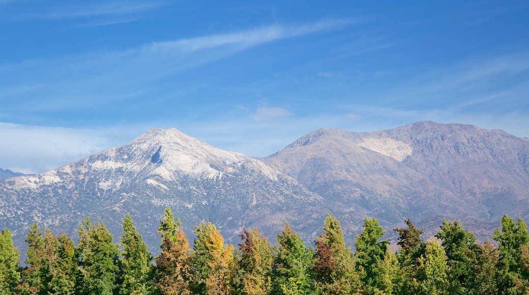 Pirque mostrando montañas y bosques