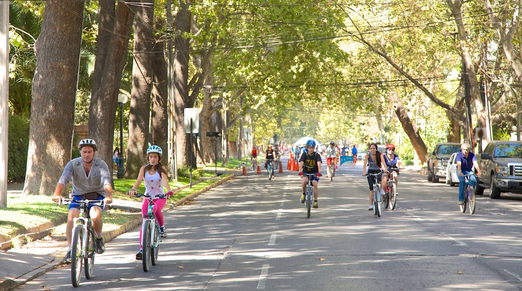 Providencia featuring cycling, a sporting event and street scenes