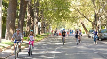 Providencia ofreciendo un evento deportivo, ciclismo y escenas cotidianas