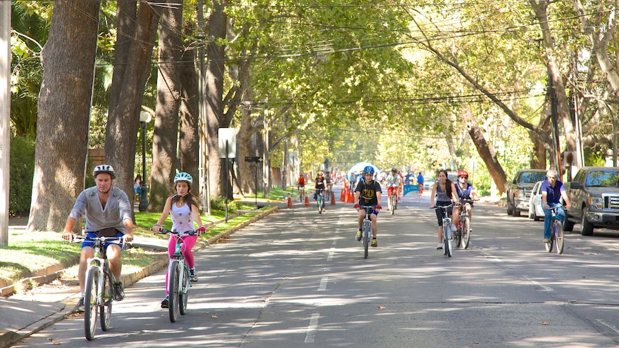 Providencia que incluye escenas urbanas, ciclismo y un evento deportivo