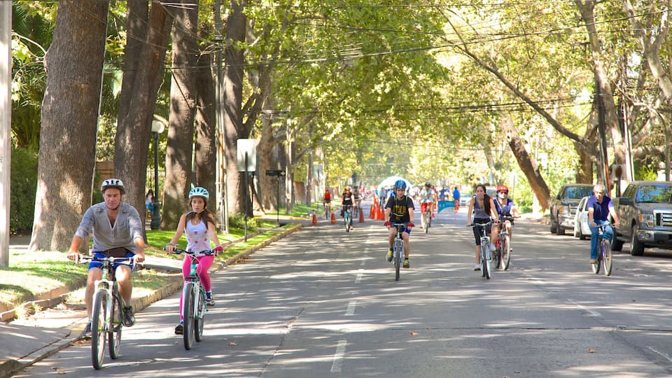 Providencia featuring cycling, a sporting event and street scenes