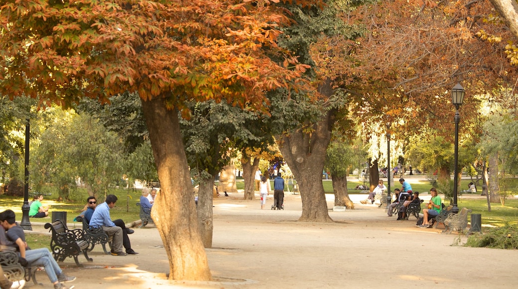 Parque Forestal que incluye un parque, los colores del otoño y vistas de paisajes