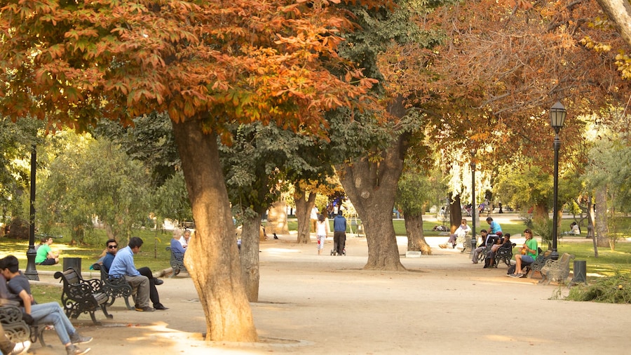 Parque Forestal mostrando un jardín, colores de otoño y vistas panorámicas
