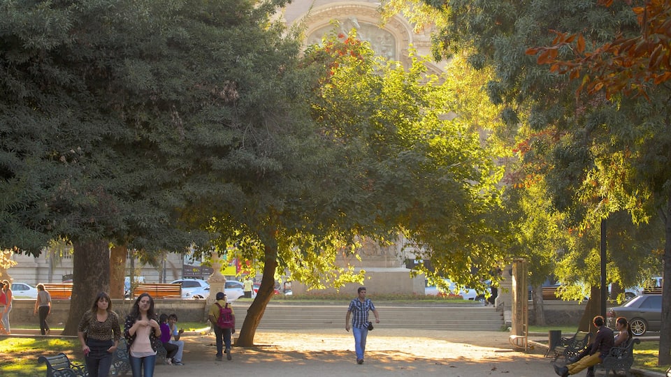 Forest Park showing a city and a park
