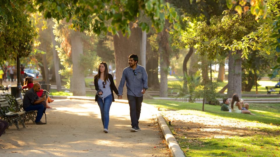 Forest Park showing a park as well as a couple