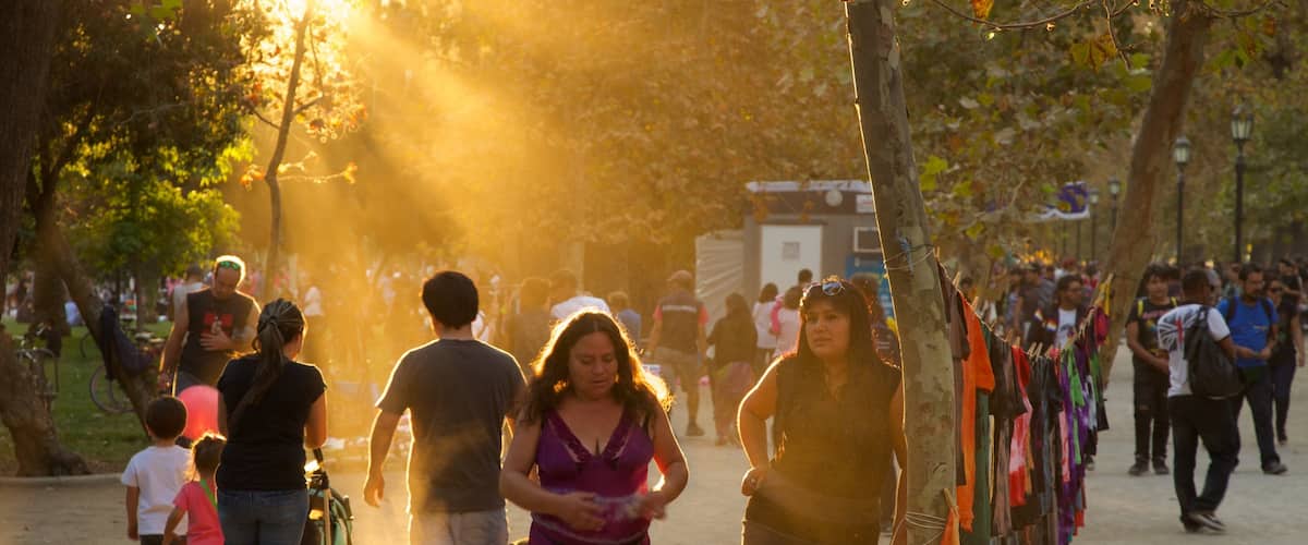Parque Forestal mostrando una puesta de sol y un parque y también un gran grupo de personas
