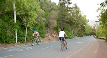 Lo Contador featuring road cycling and tranquil scenes