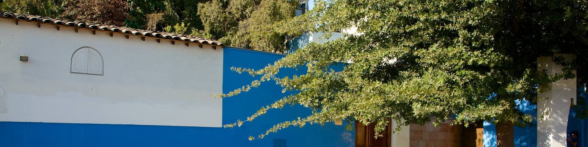 La Chascona welches beinhaltet Straßenszenen