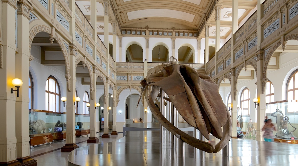 Museo Nacional de Historia Natural mostrando vistas interiores