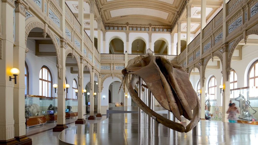 Museo Nazionale di Storia Naturale che include vista interna