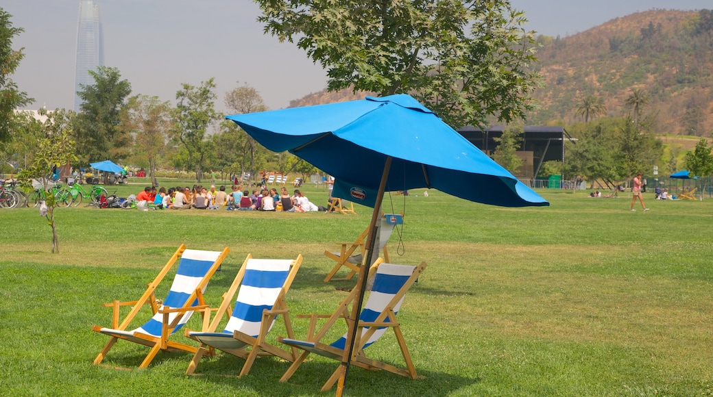 Parque Bicentenario mostrando jardín