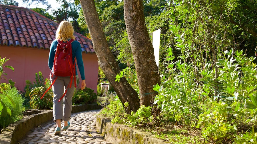 Casa Museo Quinta de Bolivar showing hiking or walking as well as an individual femail