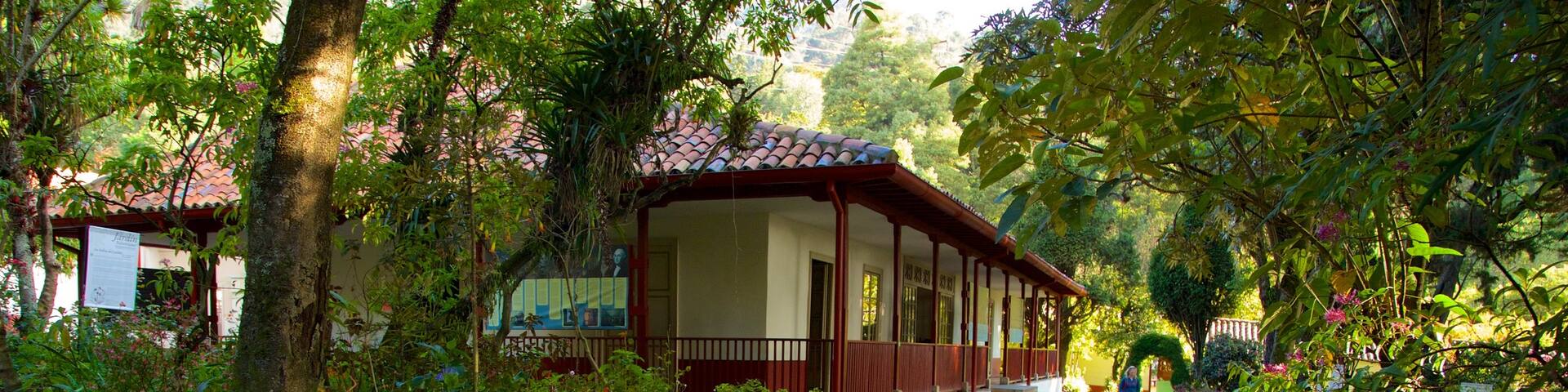Casa Museo Quinta de Bolivar showing a garden