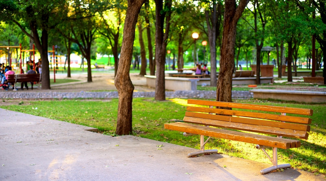 Fundidora Park showing a garden