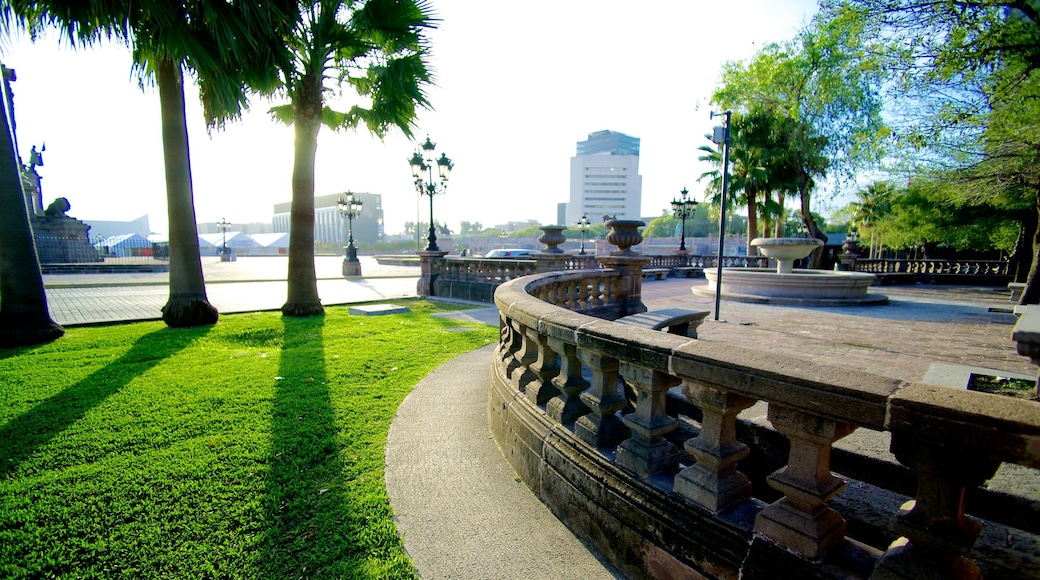 Monterrey mostrando un parque