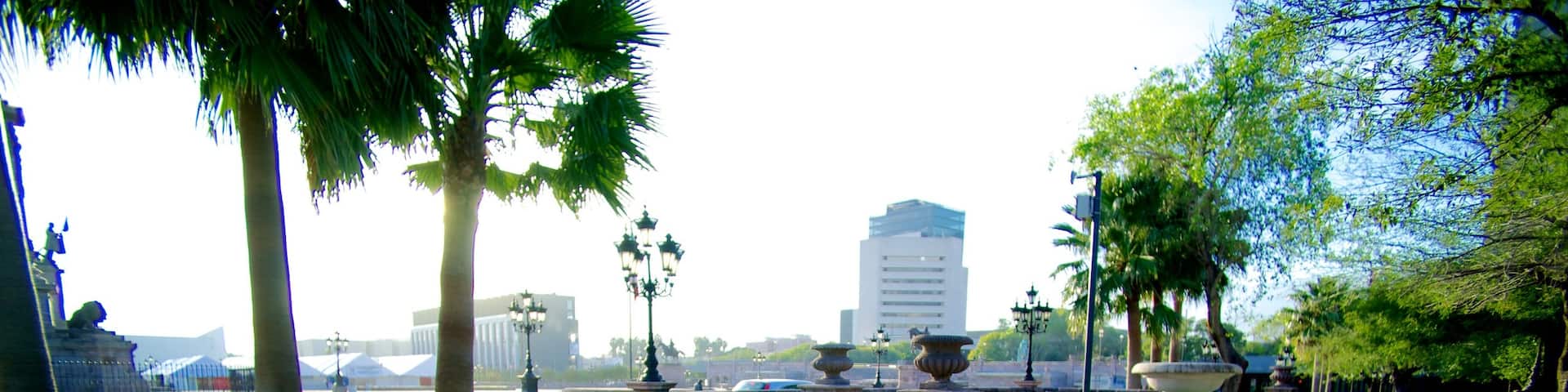 Monterrey qui includes parc