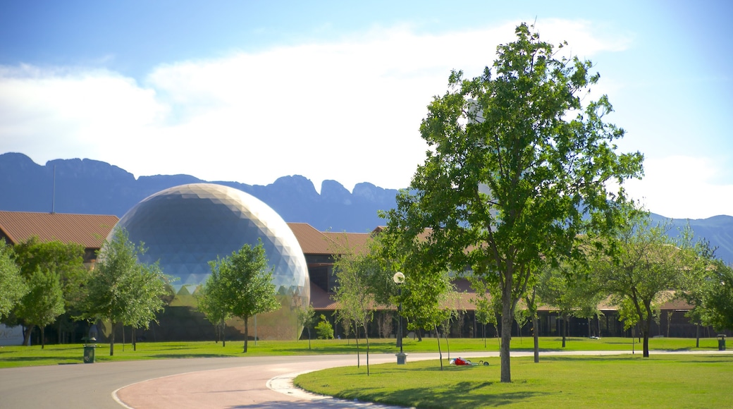 Fundidora Park which includes a park and modern architecture