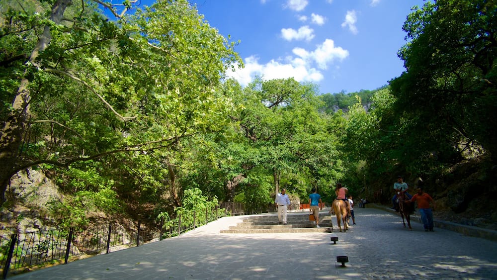 Cascada Cola de Caballo featuring a park