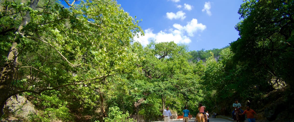 Cascada Cola de Caballo showing a park