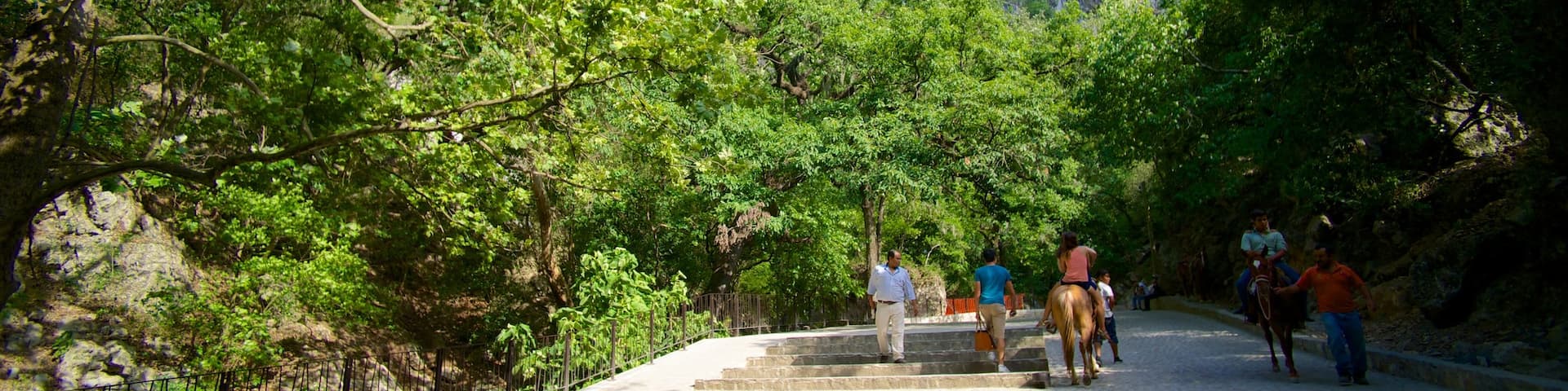 Cascada Cola de Caballo showing a park