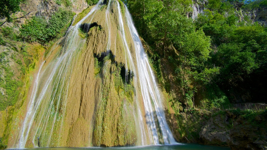 Cascada Cola de Caballo featuring a waterfall
