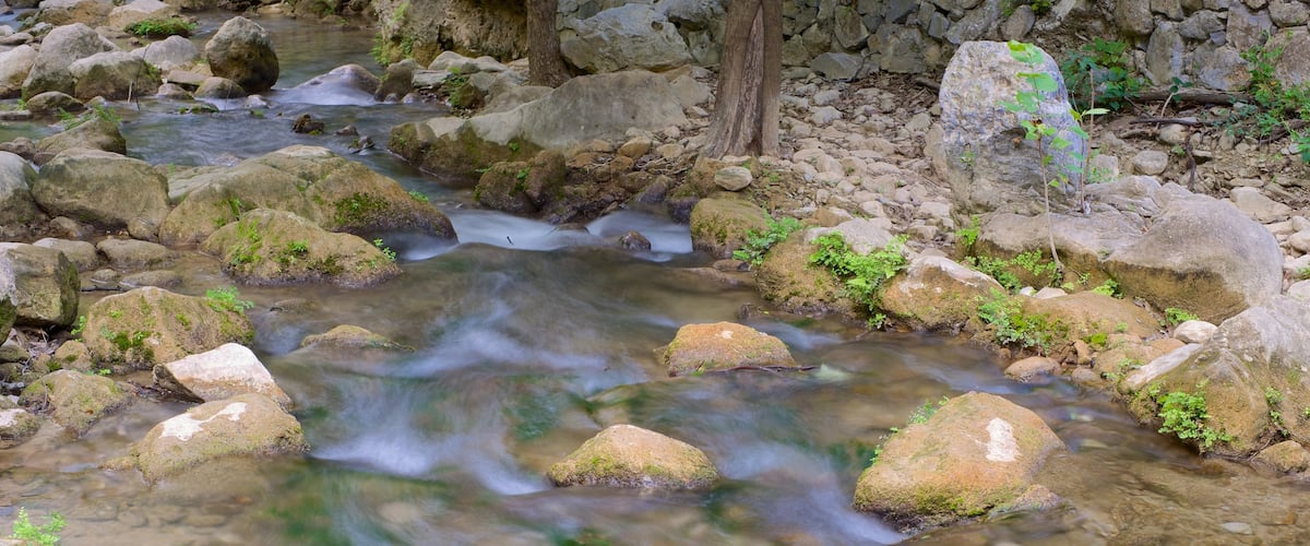 Cascada Cola de Caballo que incluye un río o arroyo