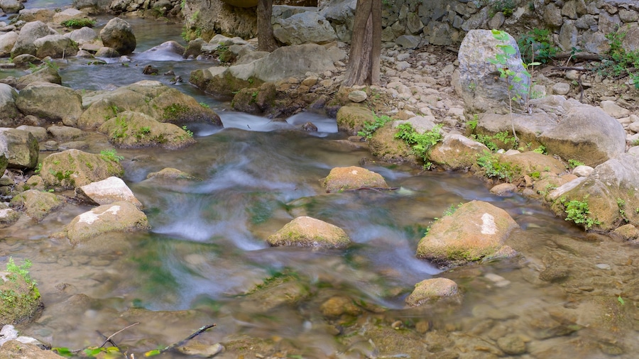 Cascada Cola de Caballo que incluye un río o arroyo
