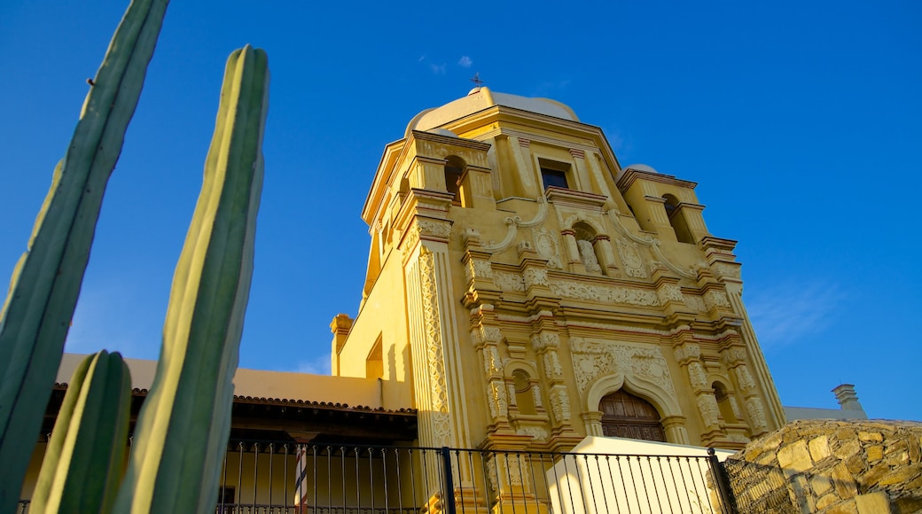 Museo del Obispado featuring a church or cathedral