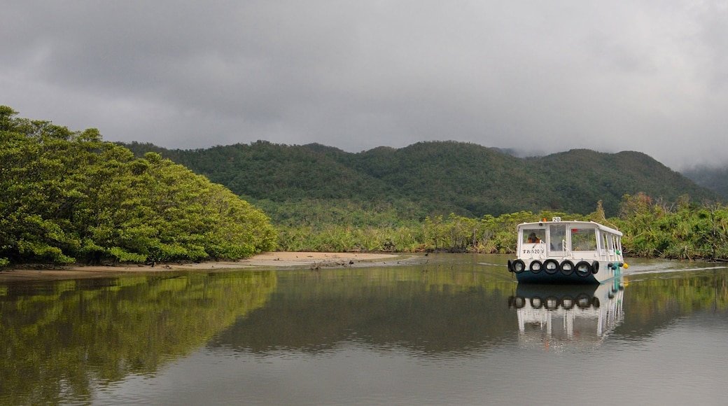 Okinawa welches beinhaltet See oder Wasserstelle, Waldmotive und Bootfahren