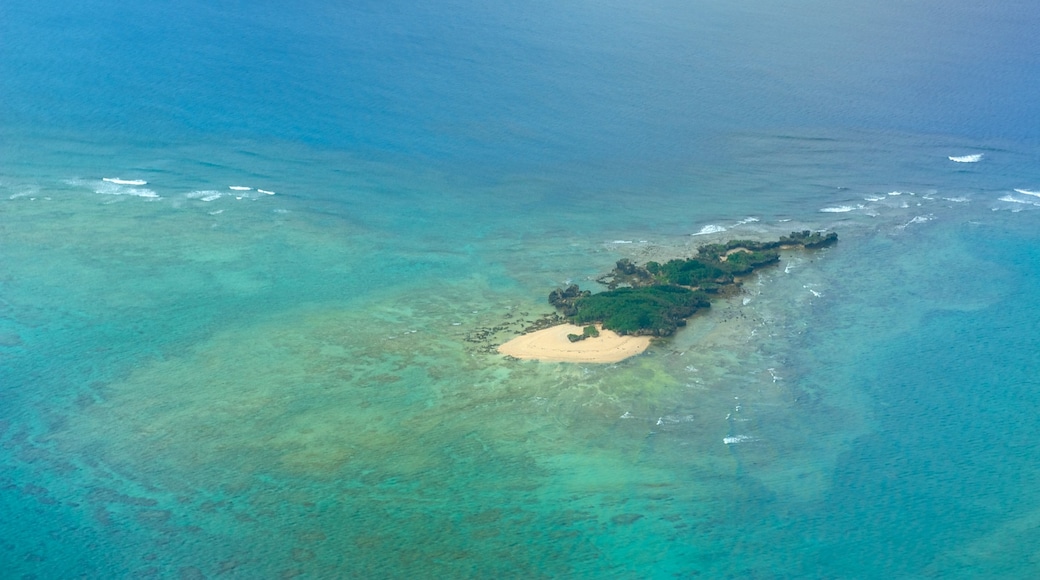 Okinawa mostrando vistas de una costa, vistas panorámicas y coral