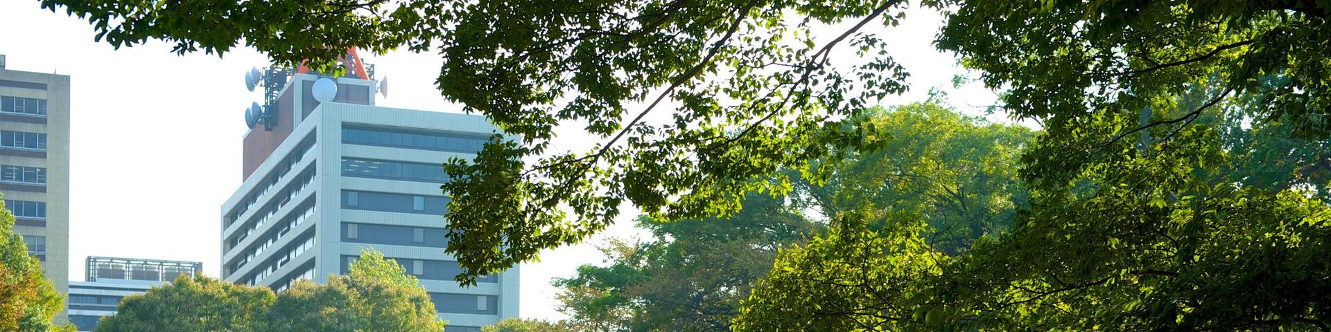 Nagoya Castle which includes a park