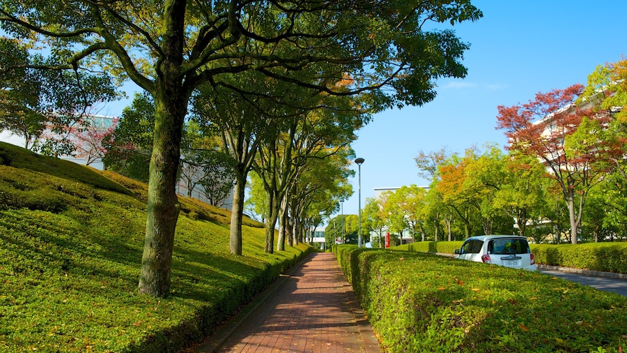Toyota Automobile Museum which includes a park