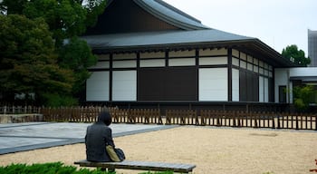 Nagoya City Art Museum as well as an individual female