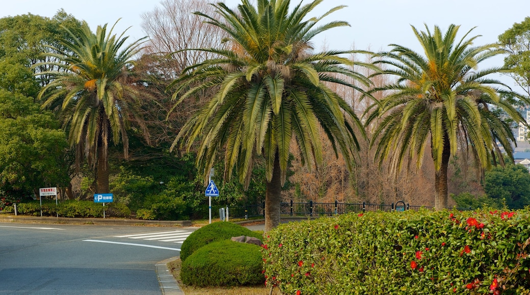 Kitakyushu City Art Museum featuring a city and tropical scenes