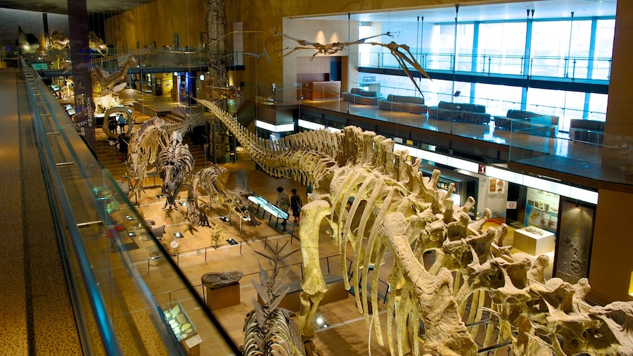 Museo de Historia Natural y Humana que incluye vistas interiores
