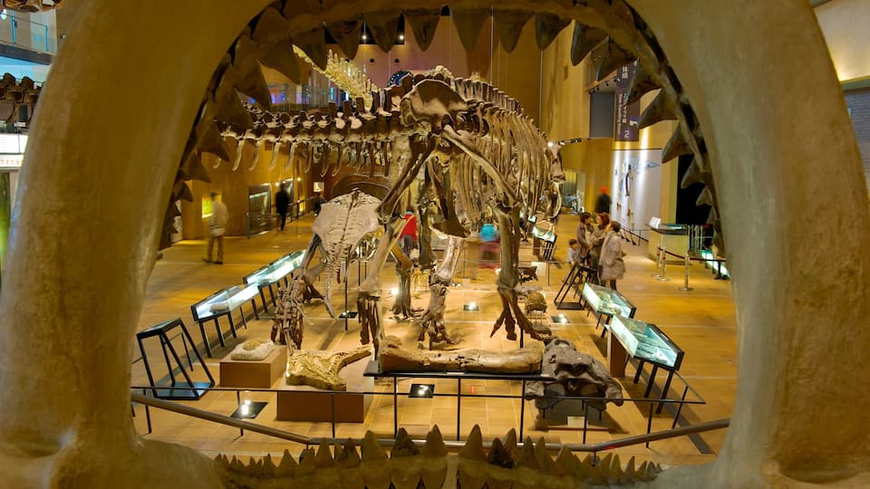 Musée d\'histoire naturelle et humaine qui includes vues intérieures