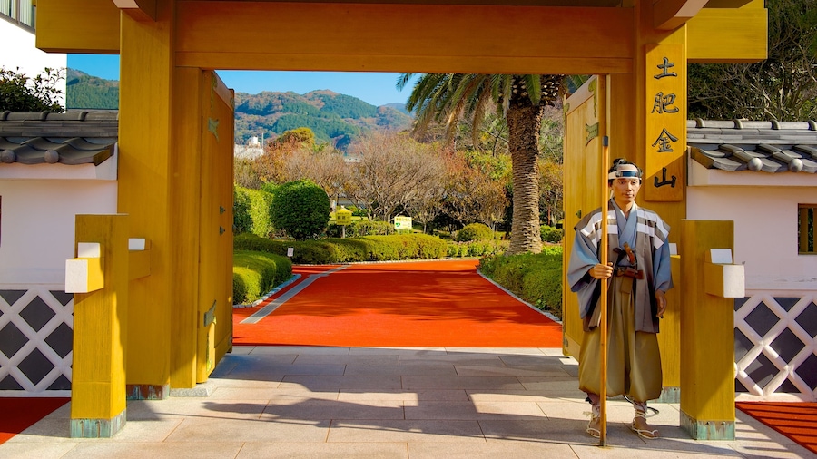Toi Kinzan y también un hombre